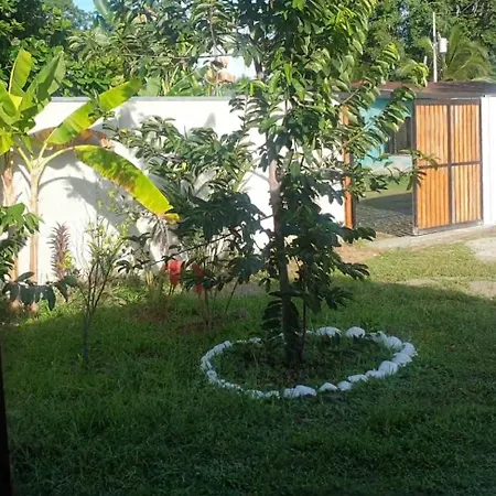 Casa Family Garden - Cerca Playa - En Pacos Place Puerto Viejo de Talamanca Extérieur photo